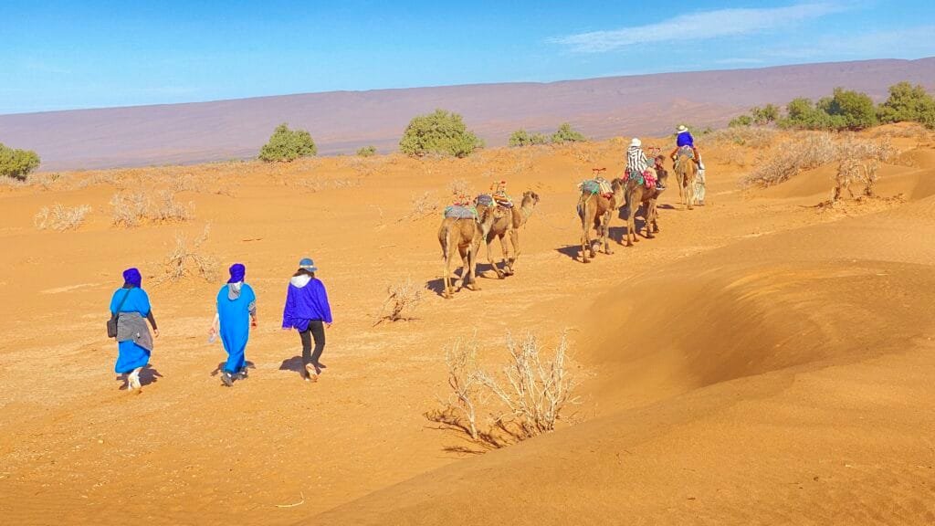 tour packages to Morocco