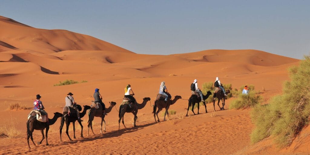 chegaga-camel-trek